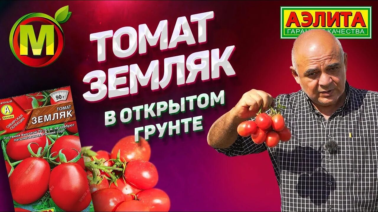 Томат сорт земляк отзывы. Семена помидор земляк. помидоры земляк фото. томат земляк 0,2 г.