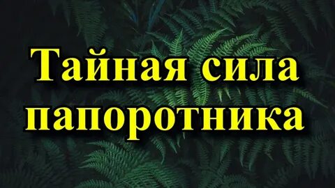 Папоротник суеверия
