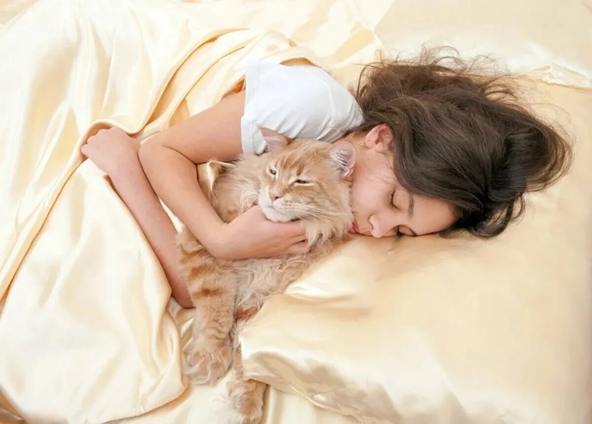 Почему кот рядом с хозяином. Девушка спит с котом. девушка с котом на кровати. девушка в постели с кошкой. сон кошки.