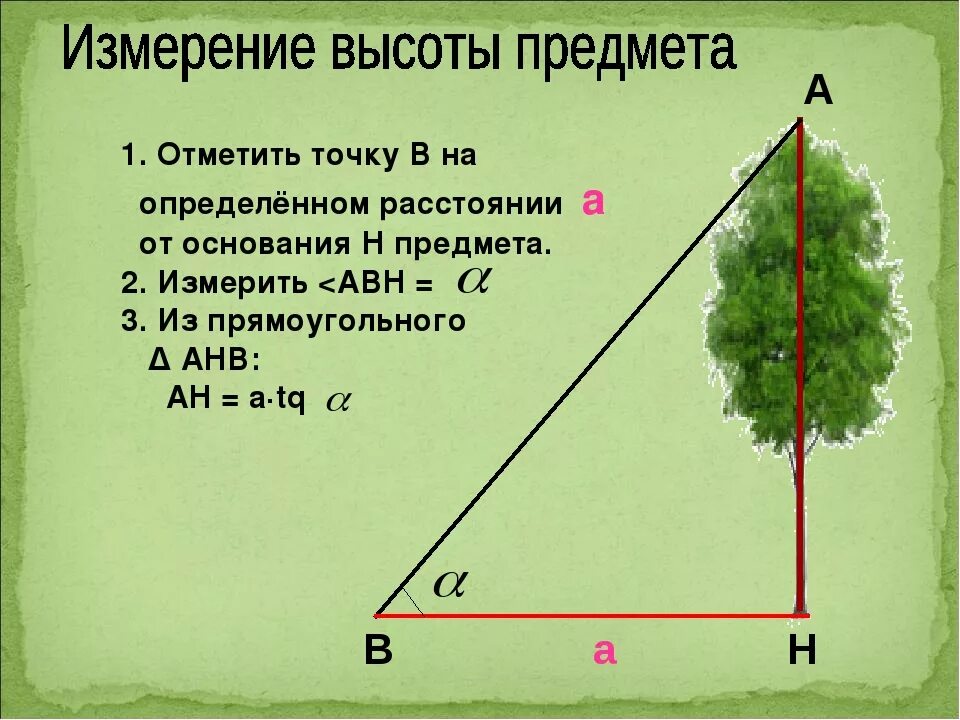 С помощью рисунка найдите. Как вычислить высоту дерева. Определение высоты объекта. Измерение высоты предмета на местности. Определение высоты предмета на местности.