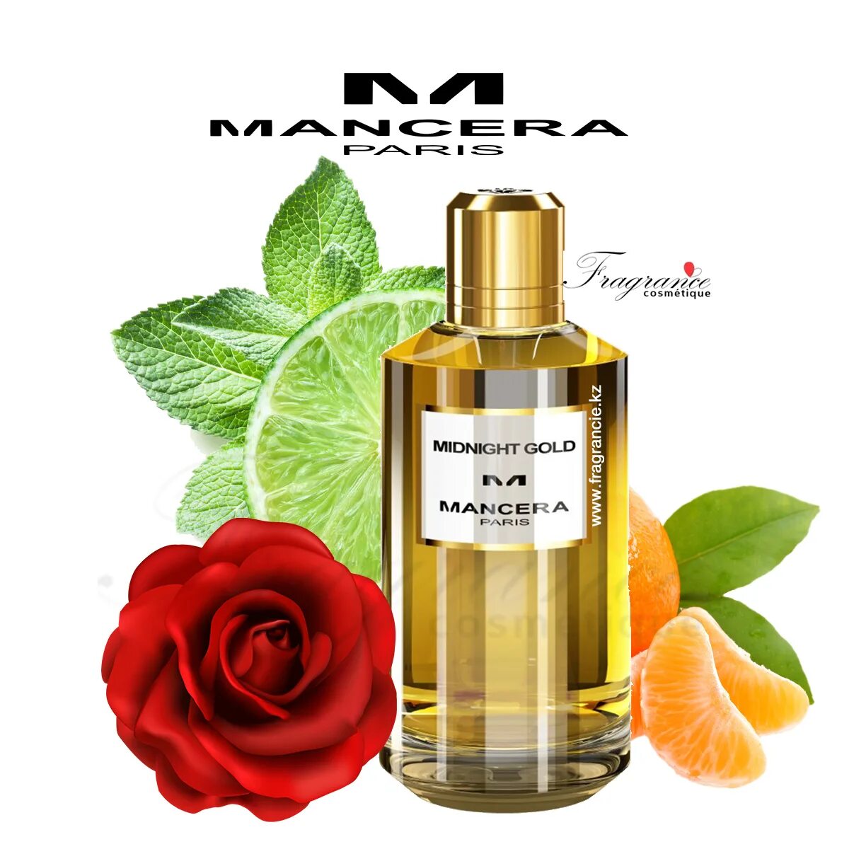 Mancera Midnight Gold 60ml EDP. Духи Мансера Миднигт фантазия. Midnight Gold u EDP 60 ml [m]. Mancera Midnight Gold отзывы.