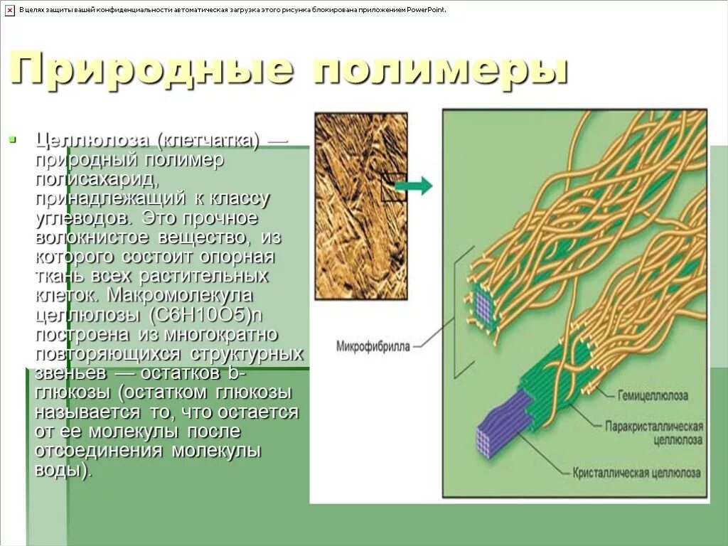 Природные полимеры презентация. Растительные природные полимеры. Углеводные полимеры. Целлюлоза высокомолекулярное соединение. Полисахариды природные полимеры.