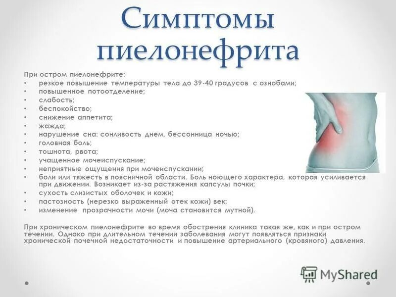 2 триместр болят почки