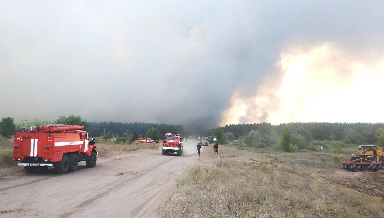 Ситуация в самарской области. Пожар в Борском районе Самарской области 21 августа 2021. Пожар в Борском районе Самарской области 21. Пожар в Борском районе Самарской области. Лесной пожар Борский район 2021.