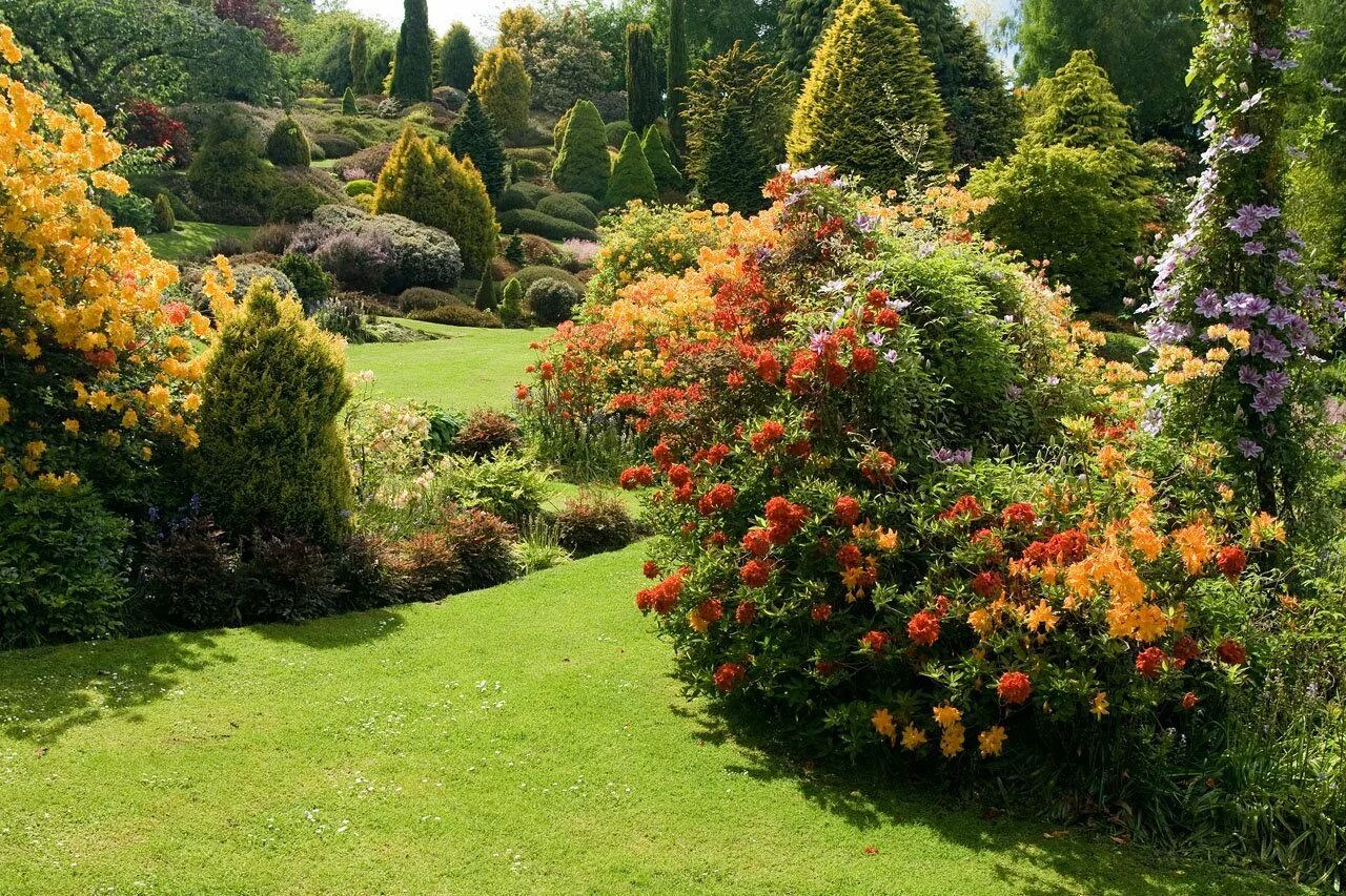 Сад Maple Glen Garden, новая Зеландия. Сад Саутленд новая Зеландия. Пираканта в миксбордере. Сады времен значение