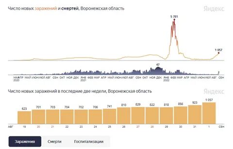 Сколько заразивших за сутки коронавирусом