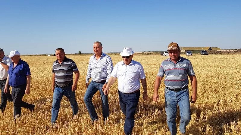 агрохолдинг ставропольский край. агрохолдинг ставропольский край. агрохолдинг красногвардейский ставропольский край. гранты на развитие семейных животноводческих ферм. логотип минсельхоза ставропольского края.