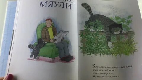 Мяули истории из жизни удивительной
