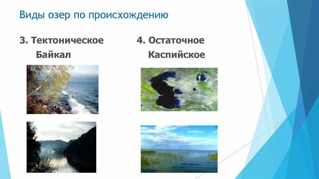 Перечислите происхождение озер. Виды озер. Озера по происхождению. Типы происхождения озер. Таблица типы озер.