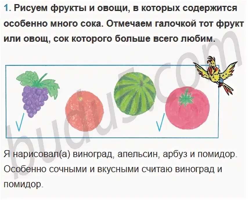Фрукты и овощи в которых содержится вода. Фрукты и овощи в которых содержится вода