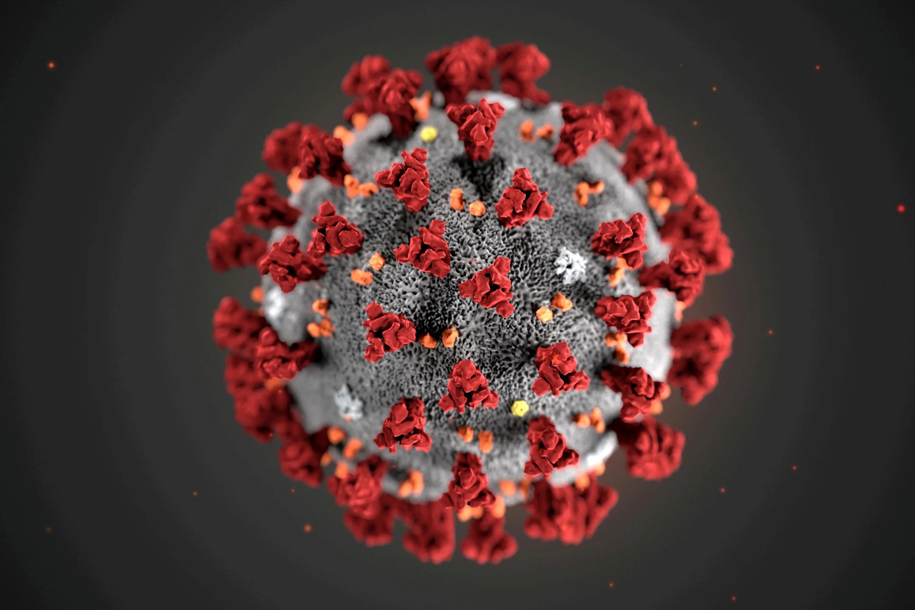 Virus neshta