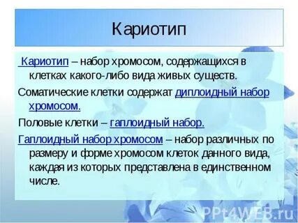 Термин кариотип