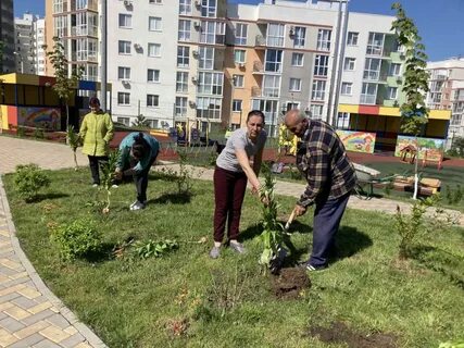 Мероприятия по благоустройству