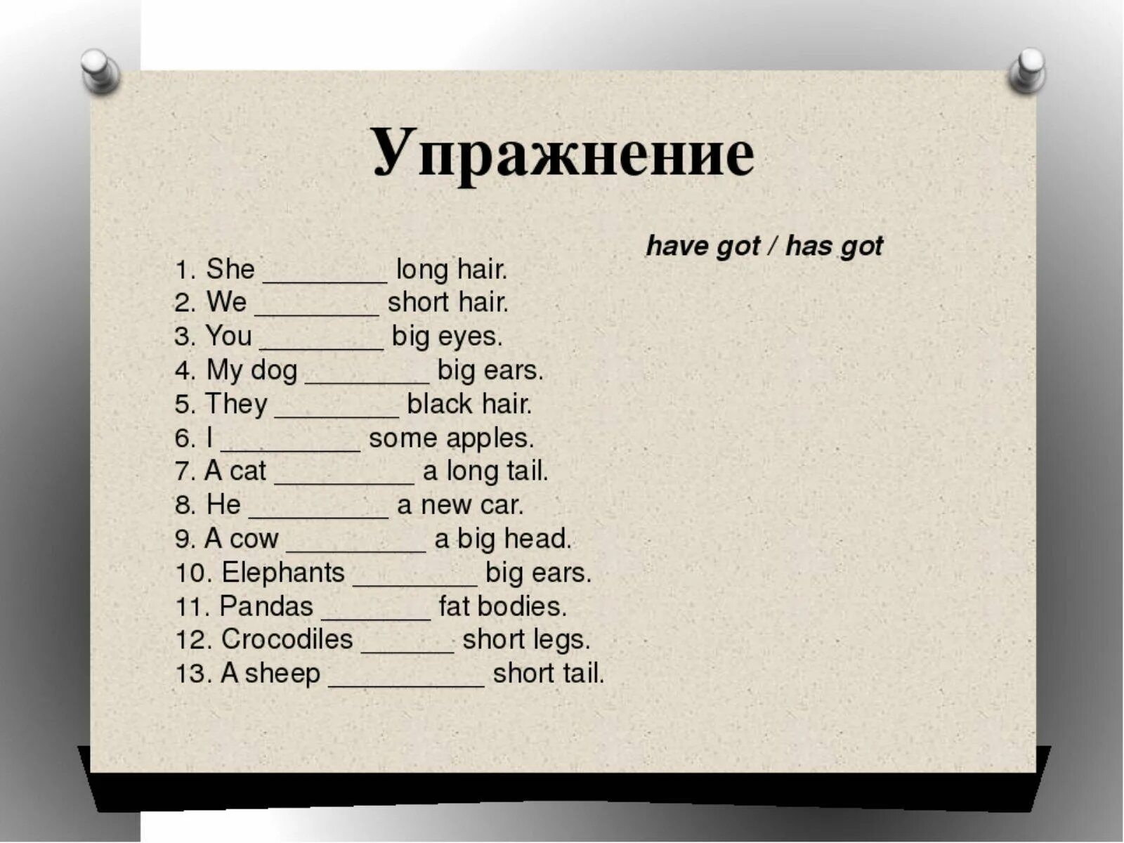 Выносить на английском. Задания на have got has got 2 класс. Have got has got упражнения. Have has got задания 2 класс. Английский язык have got и has got упражнения.