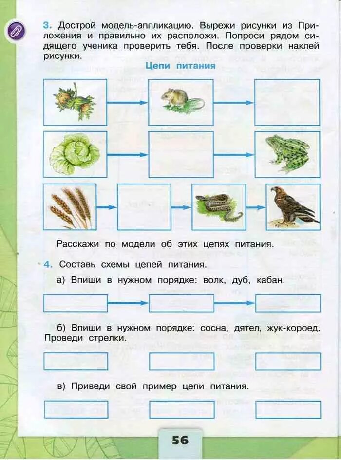 Включи по окружающему миру 3. Цепи питания 3 к учебнику Плешаков. Окружающий мир 3 класс 1 часть Плешаков цепи питания. Цепи питания 3 класс окружающий мир рабочая тетрадь Плешаков 1. Цепи питания 3 класс окружающий мир рабочая тетрадь Плешаков 1 часть.