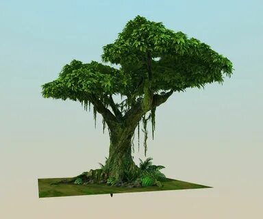 Tree 3