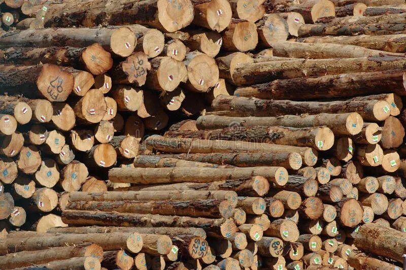 Export logs