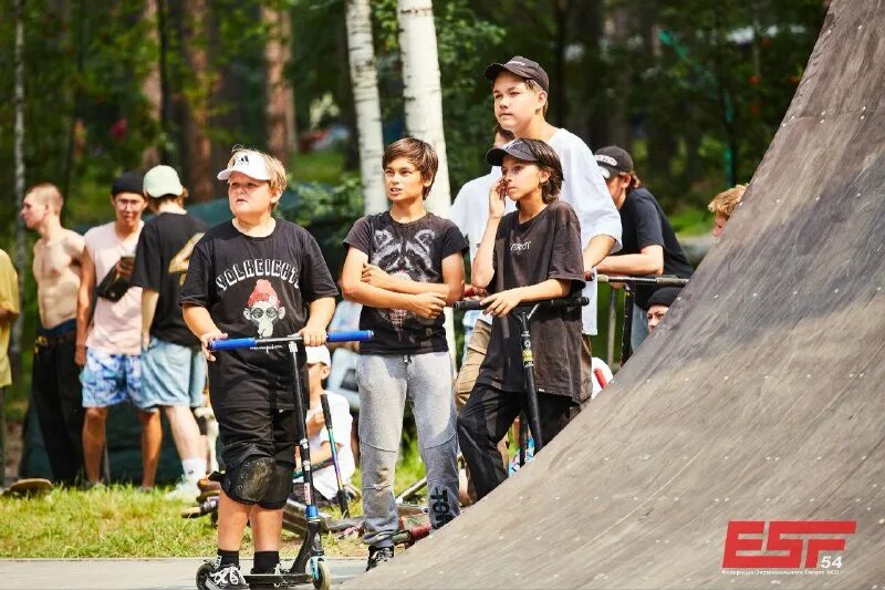 Дирекция городских парков новосибирск. Единая дирекция парков мытищи елена алексеева. Единая дирекция парков мытищи. Дирекция городских парков новосибирск. Дирекция городских парков новосибирск.