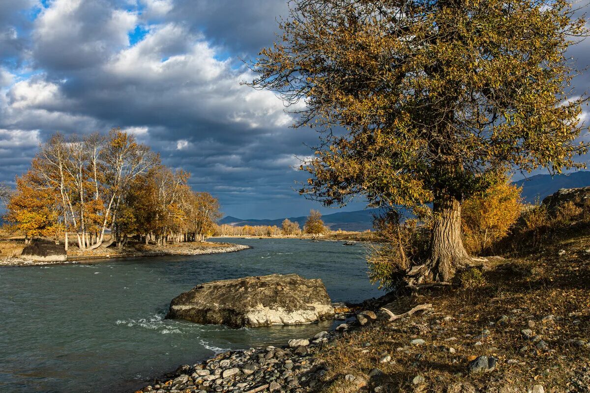алтай осень. река чаган. ильгуменский порог горный алтай. порог турбинный горный алтай. река чуя алтай.