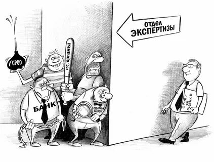 День экспертизы