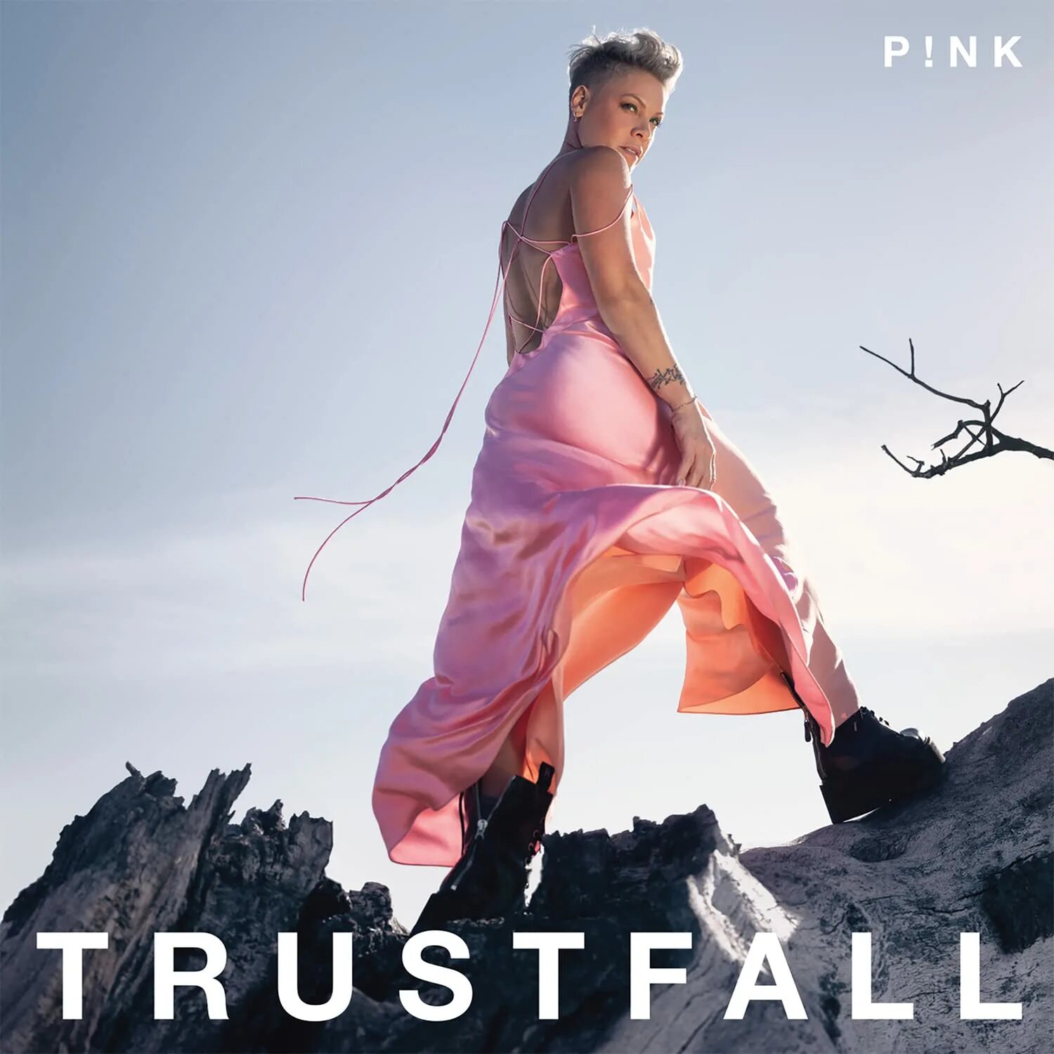 2023 - trustfall. P nk 2023. I never gonna dance again. P!nk hate me. P nk 2023.