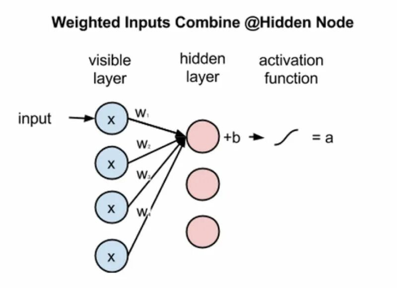 Input nodes