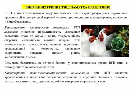 Вирус декабрь 2023 симптомы