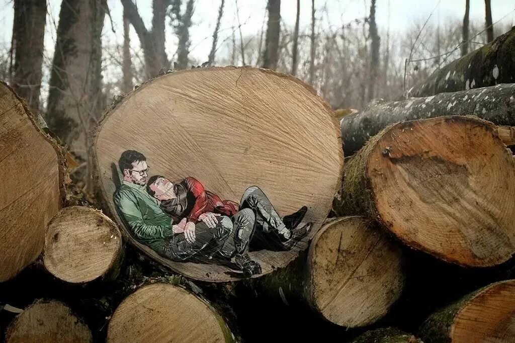 В других бревно видишь в себе. Огромное бревно. фотосессия с бревнами. бревно в лесу. арт объекты в лесу.