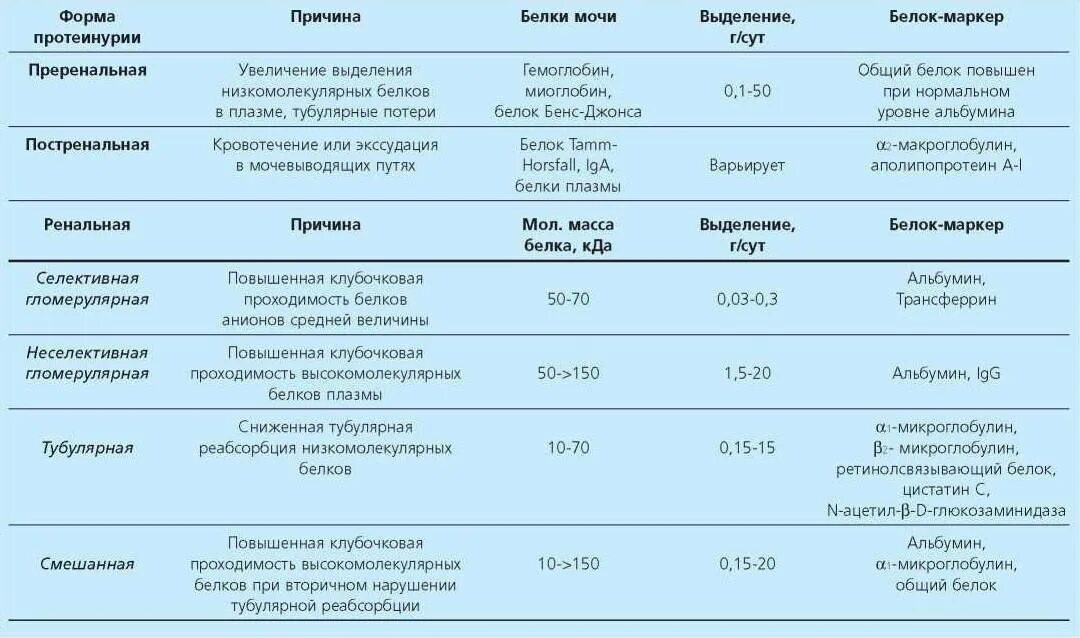 Белок 0.6 г/л в моче. Белок 0.6 в моче при беременности. Белок 1-2 в моче при беременности. Протеинурия норма г/л у детей.