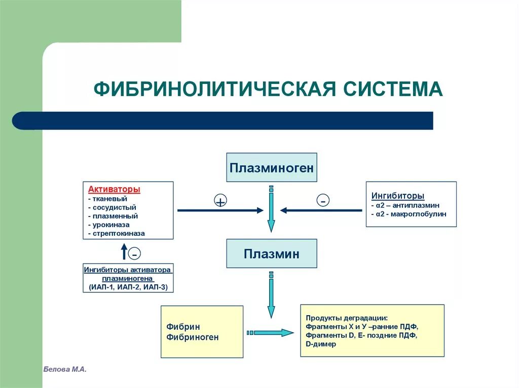 Фибринолитики это. Фибринолитическая система крови схема. Механизмы активации фибринолиза. Компоненты системы фибринолиза. Активация системы фибринолиза.