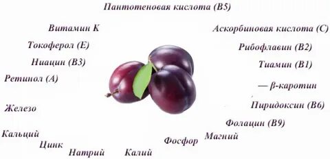 Сколько калорий в алыче