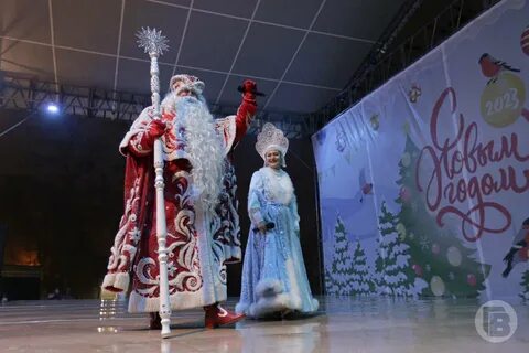 Новогодние представления волгоград