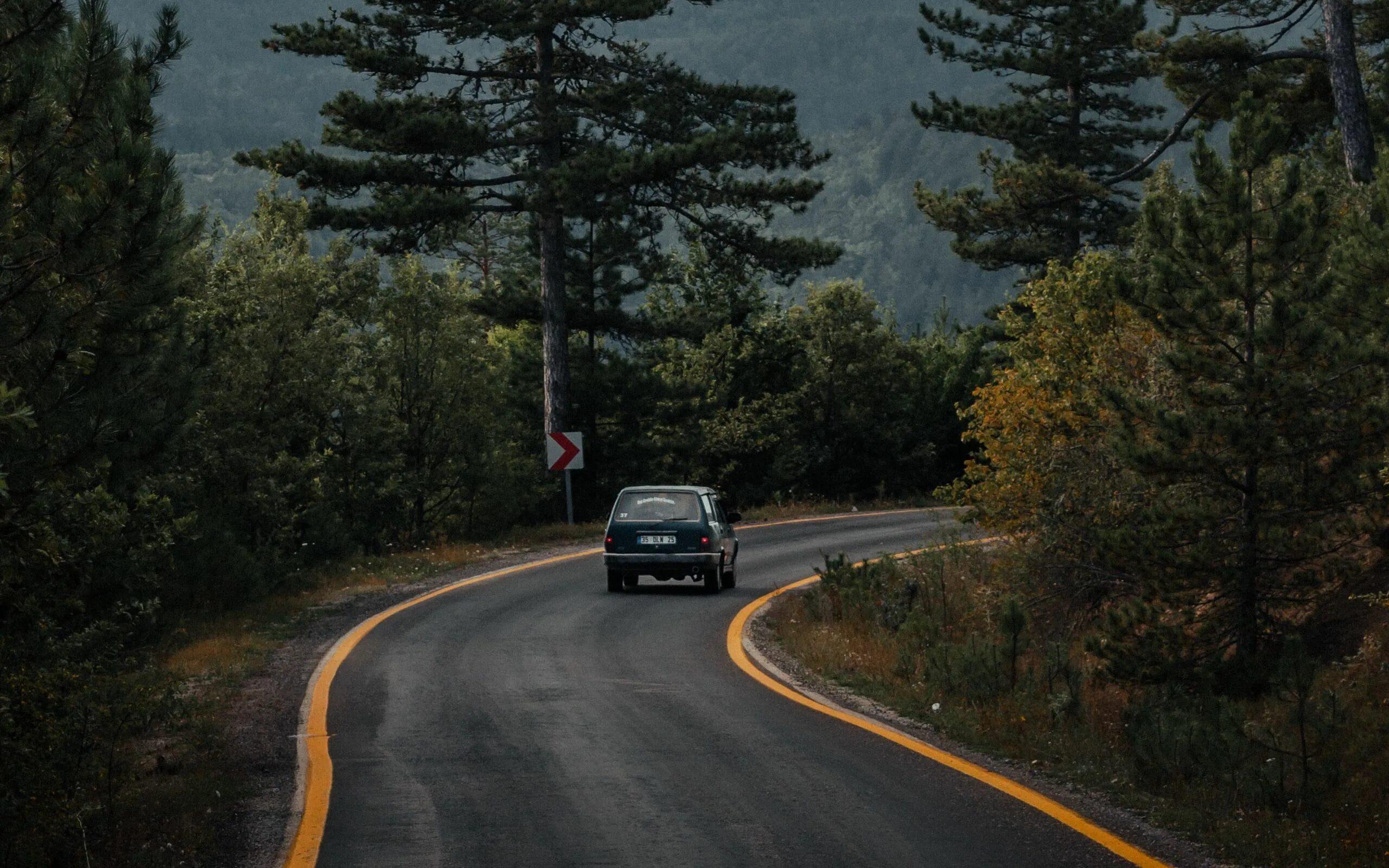 Дорога со старым. Дорога в лесу. Лес дорога машина. Автомобиль едет по дороге в лесу. Дорога вдоль леса.