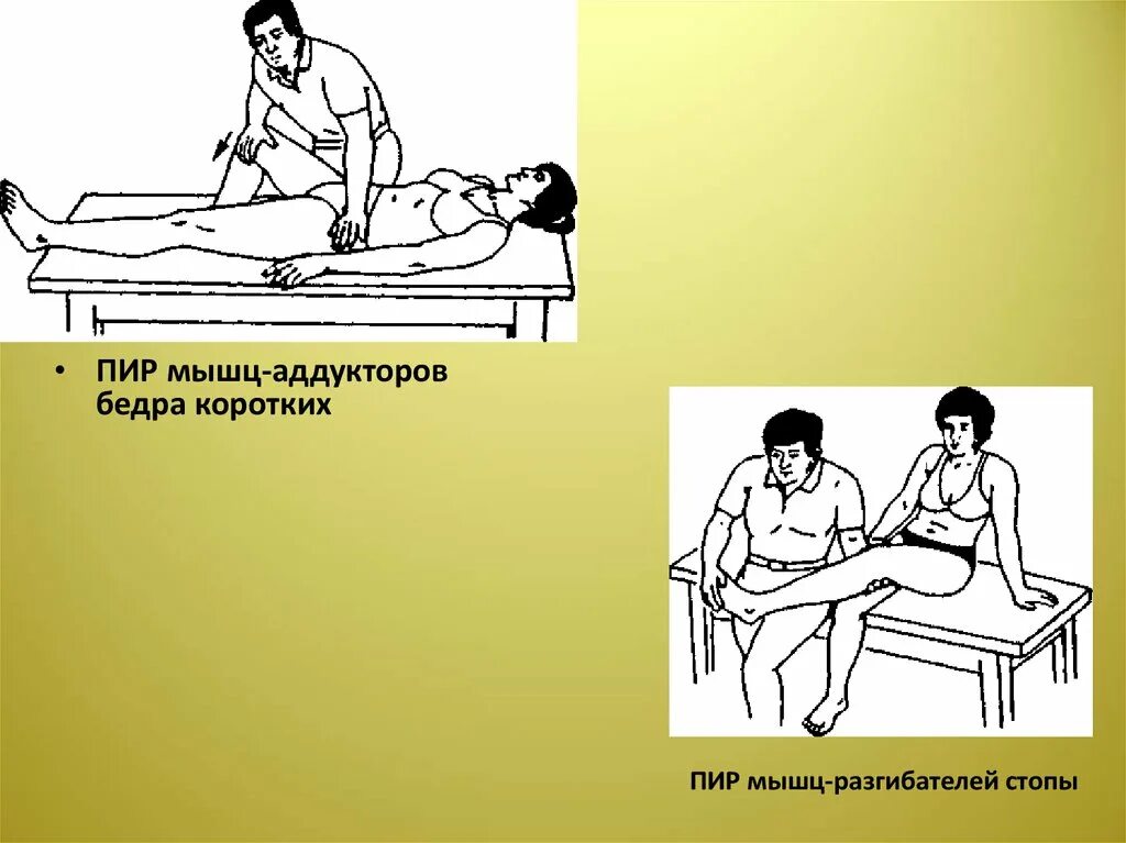Положение пир. Пир мышц. пир мышц бедра. пир грушевидной мышцы. пир упражнения.