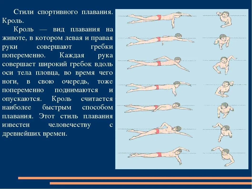 Что такое кроль. Стиль плавания брасс и Баттерфляй. Стиль плавания Кроль брасс. Плавание кролем баттерфляем. Техники плавания брасс Кроль Баттерфляй.