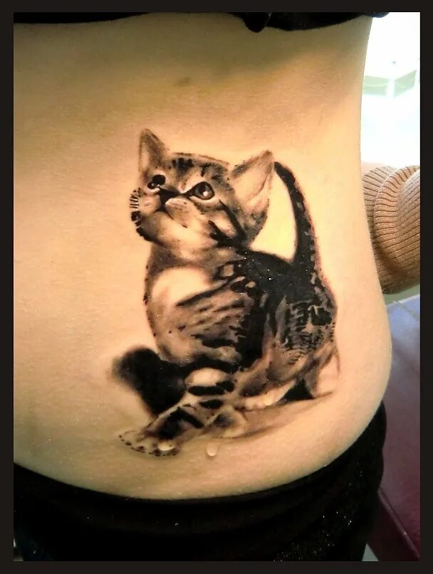 Кот на животе у девушки. Тату кошечки для девушек. Тату пантера женские. Кот на животе у девушки. Тату в виде кошки.