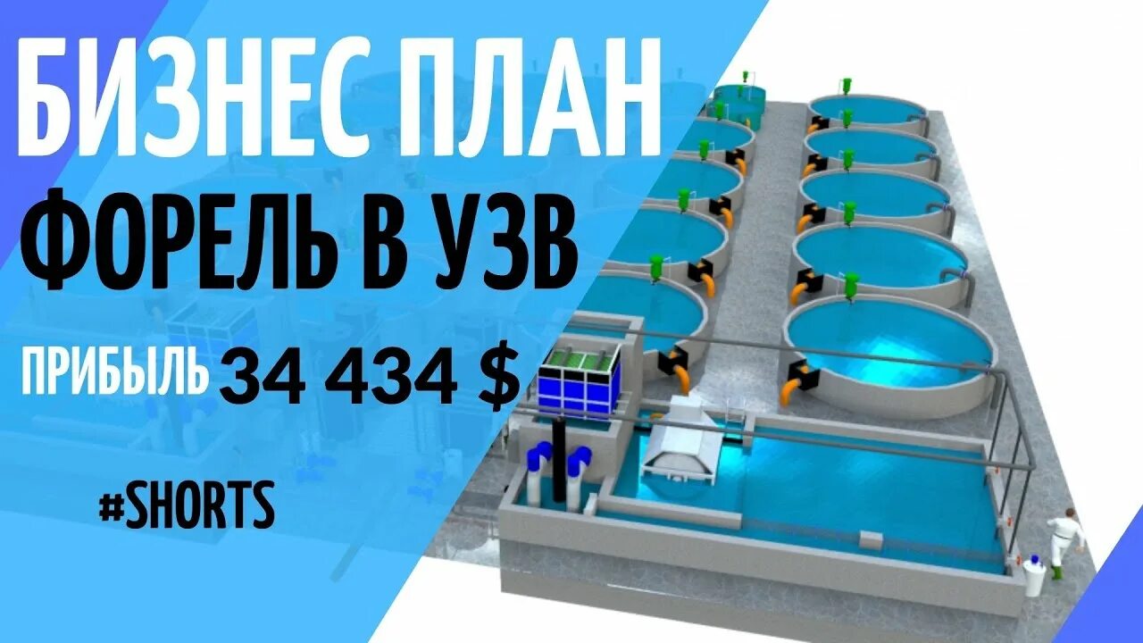 Проект рыбной фермы узв. Бизнес планы узв. Акваферма узв. Бизнес план узв форель. Бизнес планы узв.