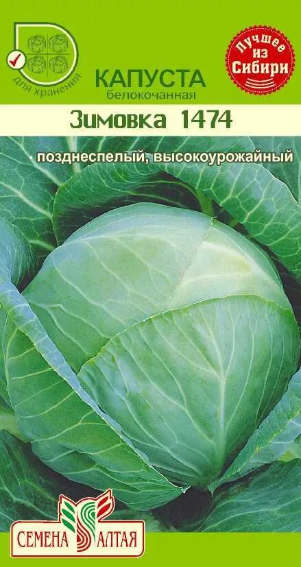 Капуста московская описание сорта отзывы. Капуста Московская поздняя 15. Капуста белокочанная Дитмаршер Фрюер. Капуста Дитмаршер Фрюер описание. Капуста белокочанная Московская поздняя.