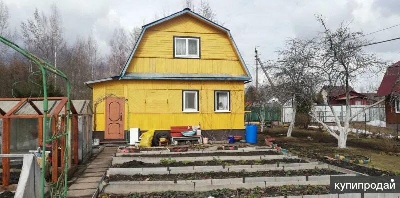 Карта в тосненском районе в снт рубеж. Садоводство трубников бор снт химик. Снт. Снт "дружба" массива "рубеж". Трубников бор снт южное 2 линия.