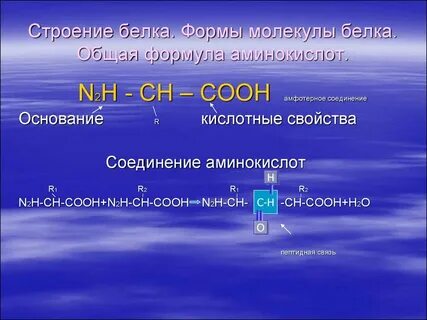 Формула белка