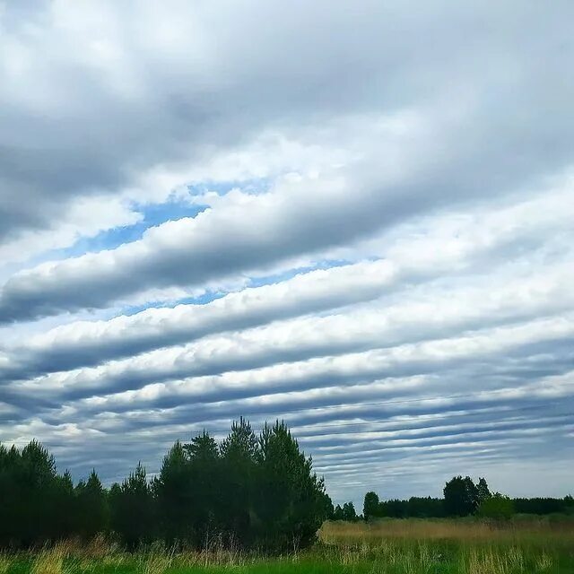 Небо в клеточку весна 2021. Небо в клеточку в полосочку. Небо в клеточку в полосочку. Небо в клеточку в полосочку. Небо в клеточку в полосочку.