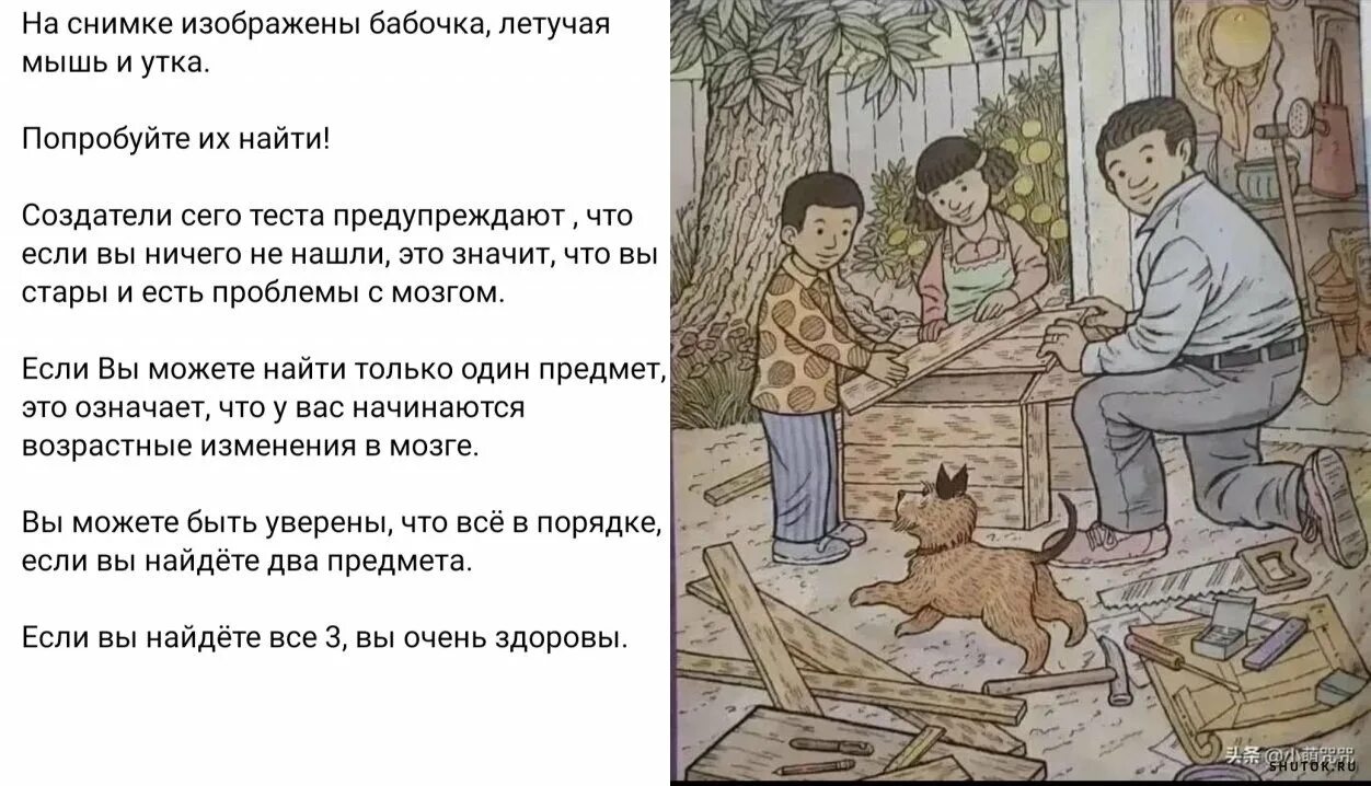 Тест найти бабочку. Найди бабочку летучую мышь и утку. японский тест на старение мозга. найди утку на картинке. найди утку летучую мышь и бабочку на картинке.