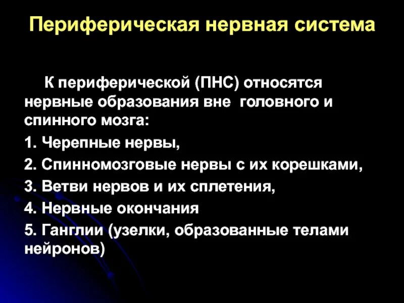 Периферический нерв функции. Периферическая нервная система. К периферической нервной системе относят. Структуры, относящиеся к периферической нервной системе. Характеристика периферической нервной системы.