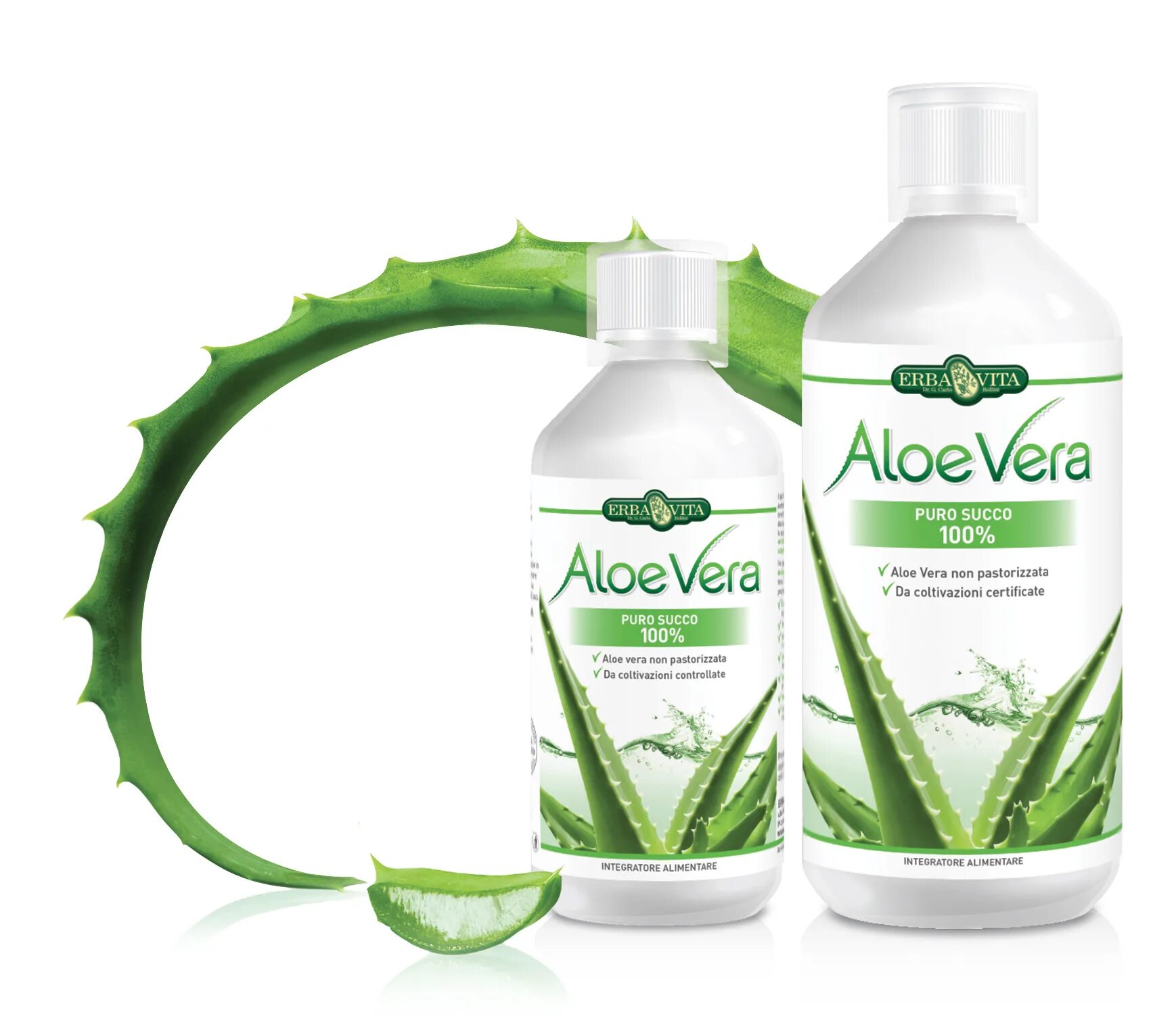 Aloe vera как пользоваться. Алоэ барбаденсис ЛР. Алоэ барбаденсис Миллер ЛР.