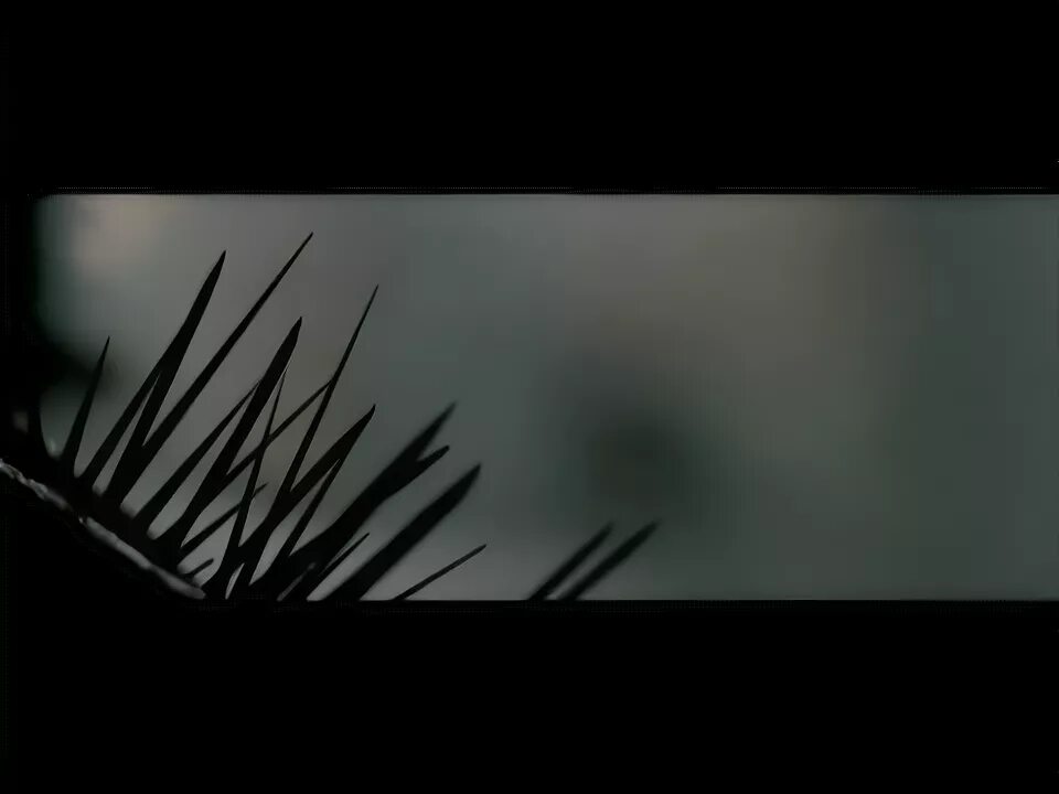 Zanoza песни. Заноза mp3. Заноза mp3. Заноза mp3. Заноза mp3.