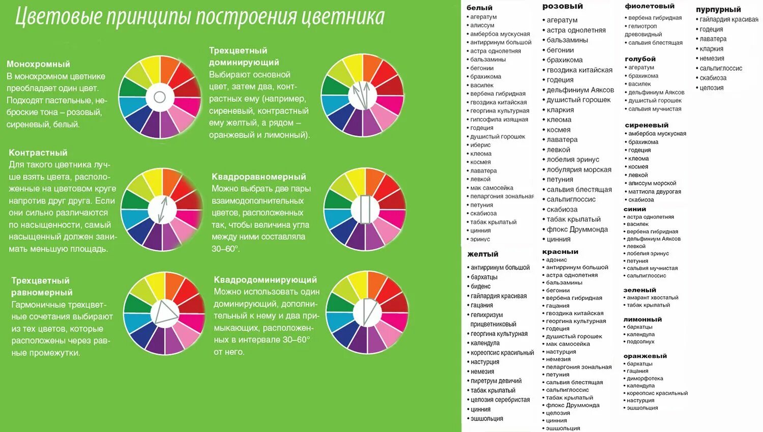 И подобрав самый подходящий для. Цветовой круг для цветников. Цветовой круг для цветника. Цветовой круг сочетание цветов. Колористика цветника.