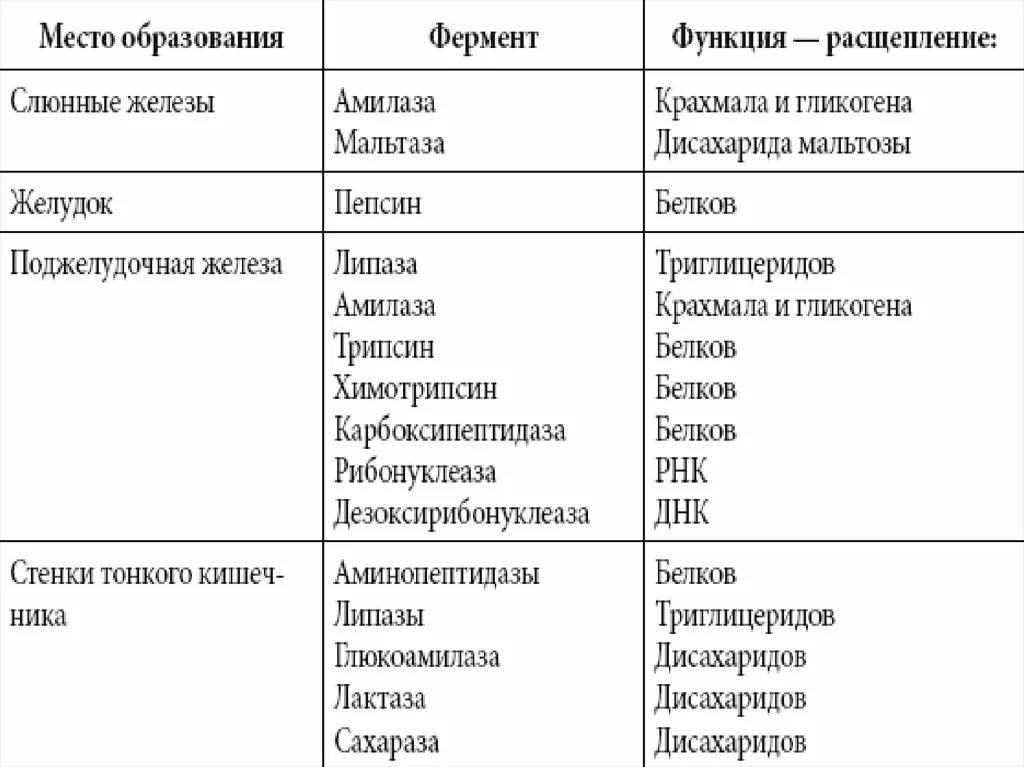 Пищеварительные ферменты биология. Функции ферментов пищеварительной системы таблица. Отдел пищеварительной системы фермент функции. Ферменты пищеварительного тракта таблица. Ферменты пищеварительной системы таблица.