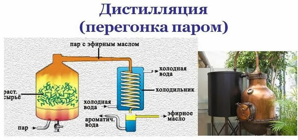 Как получить масла в домашних условиях