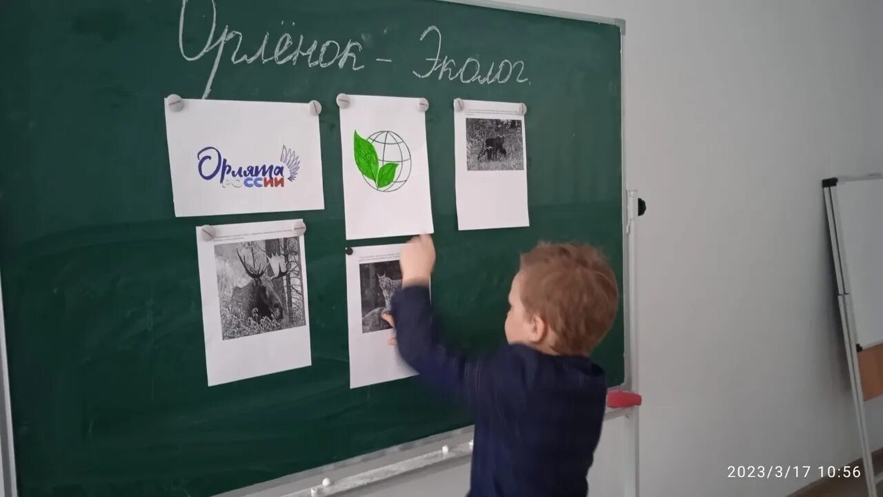 Орленок эколог занятия. Орленок эколог. орленок эколог орлята. орленок эколог презентация. трек орленок эколог.