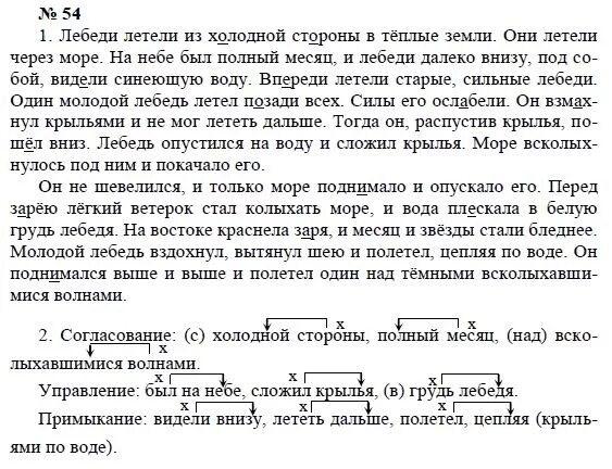 Лебеди летели из холодной стороны в теплые земли. Лебеди стадом летели. Гдз по русскому языку 8 класс Купалова практика. Толстой лебеди стадом летели из холодной стороны в теплые земли.